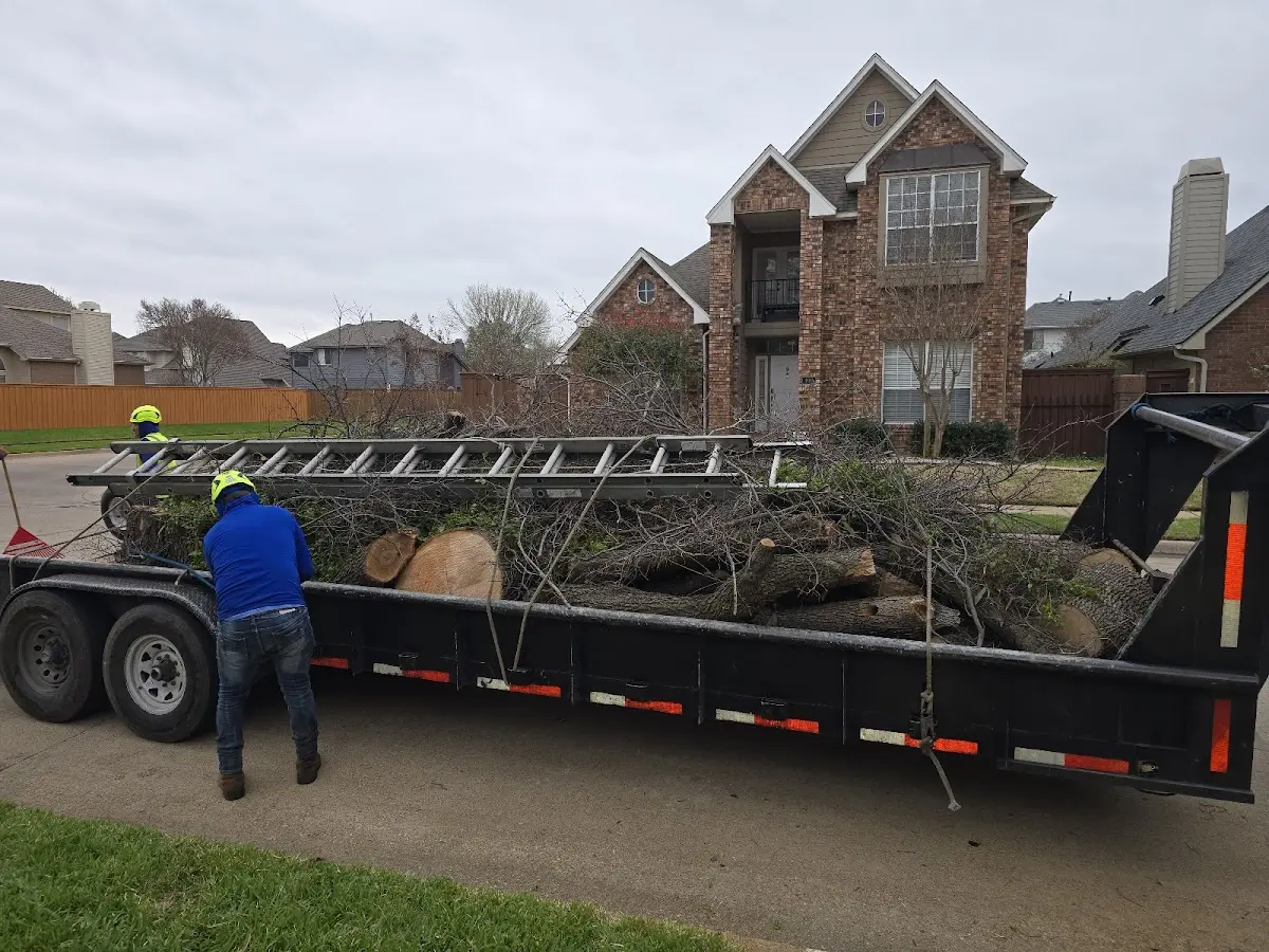 Expert Lot Clearing with proper safety equipment in Black Eagle
